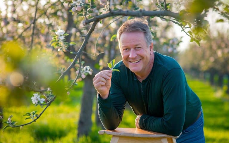 Apfelbäume im Frühjahr 2026: Pinzierschnitt zur Förderung des Fruchtansatzes