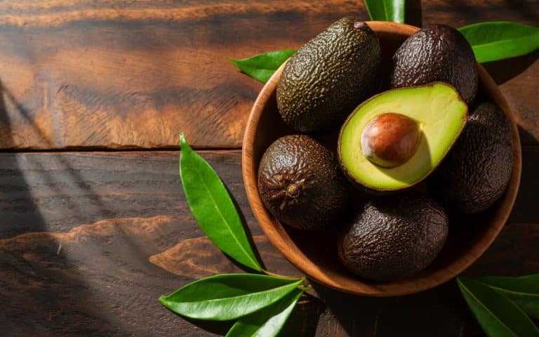 Avocado, Cholesterin und „gute Fette“: Was Studien im Jahr 2026 sagen