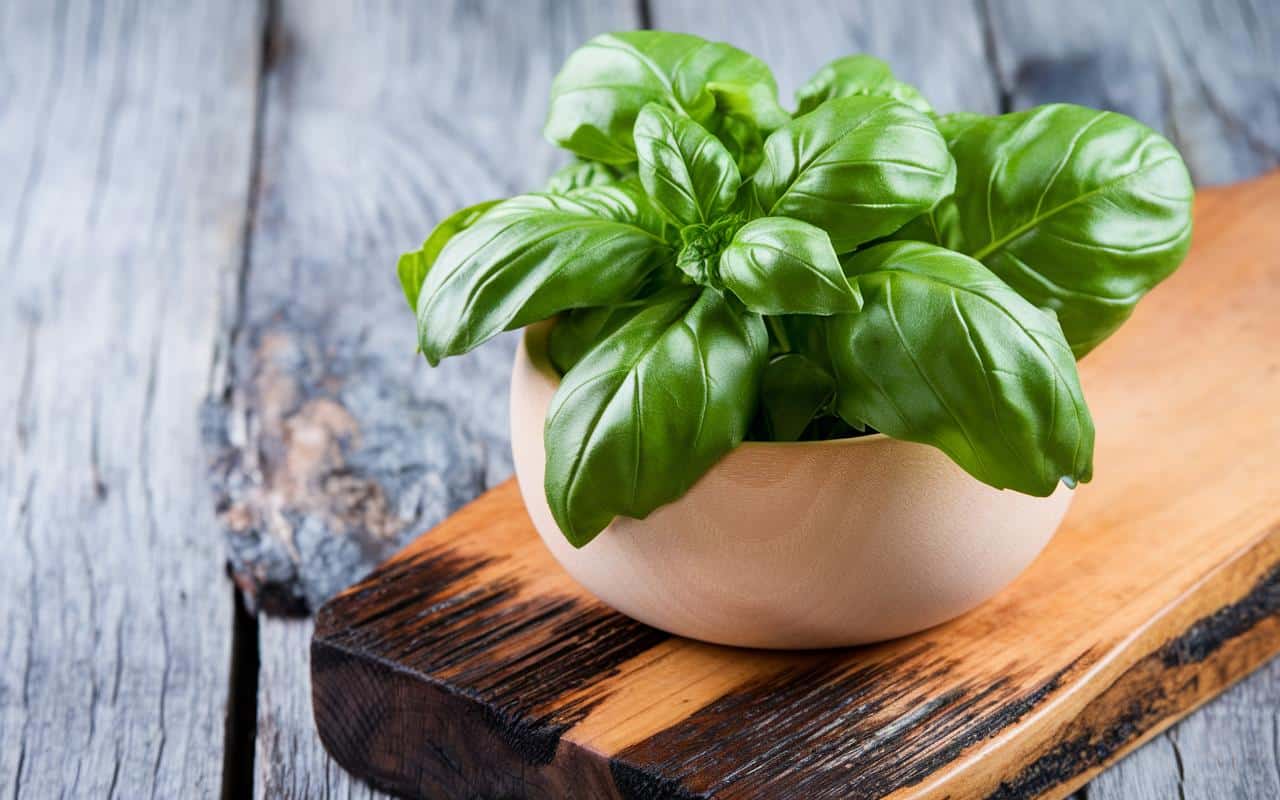 Basilikum: kaliumreicher als die Banane, gut für die tägliche Verdauung