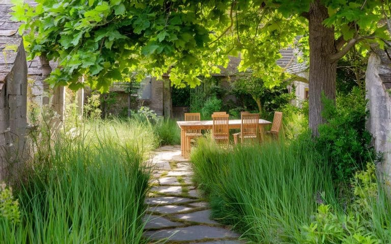 Im Frühling einen Maulbeerbaum pflanzen: der sehr ertragreiche Obstbaum für den Garten