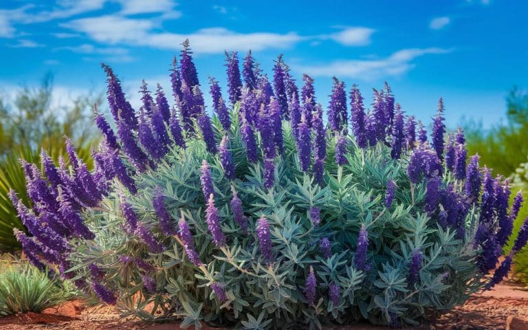 Rosmarin im Garten: Welche nektarreichen Kräuter passen dazu, um Bienen und Schmetterlinge anzulocken?
